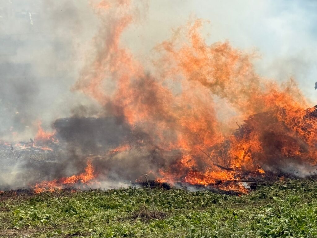 जमशेदपुर: मानगो में लकड़ी टाल में लगी भीषण आग; लाखों का नुकसान, स्थानीय लोगों और दमकल ने टाला बड़ा हादसा