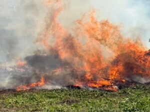 जमशेदपुर: मानगो में लकड़ी टाल में लगी भीषण आग; लाखों का नुकसान, स्थानीय लोगों और दमकल ने टाला बड़ा हादसा