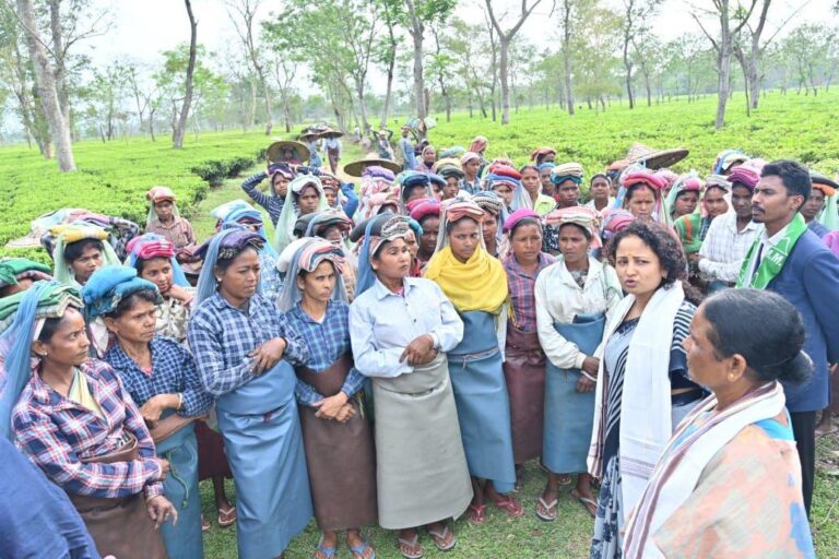 असम चुनाव: चबुआ में गरजीं कल्पना सोरेन, जेएमएम प्रत्याशी भूबेन मुरारी के लिए मांगा वोट