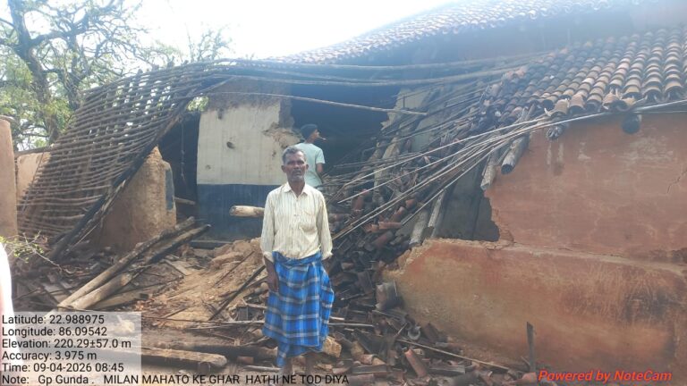 चांडिल में जंगली हाथी का आतंक, चार घर तोड़े और खेतों में मचाई तबाही