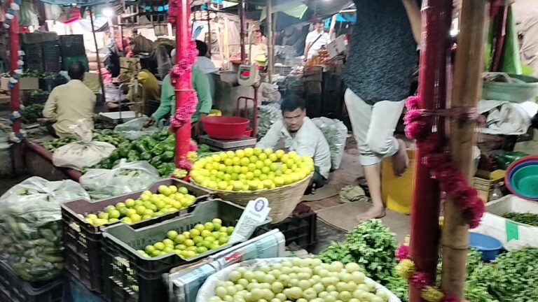 मौसम की मार से महंगी हुई सब्जियां, आम लोगों की बढ़ी चिंता