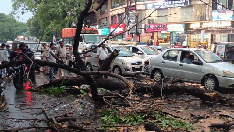 जमशेदपुर में आंधी-बारिश का कहर: साकची में बाइक सवार पर गिरा विशाल पेड़, सरायकेला का युवक गंभीर रूप से घायल