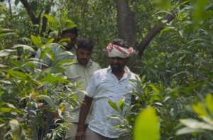 उड़ीसा बॉर्डर स्थित तिरिंग घाटी को मिलेगा पर्यटन स्थल का स्वरूप, विधायक संजीव सरदार ने किया स्थल निरीक्षण, विभाग को भेजा जाएगा प्रस्ताव