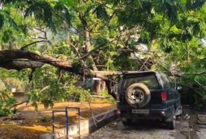 जमशेदपुर में तेज आंधी-बारिश का कहर, पेड़ उखड़े, कई जगह यातायात ठप