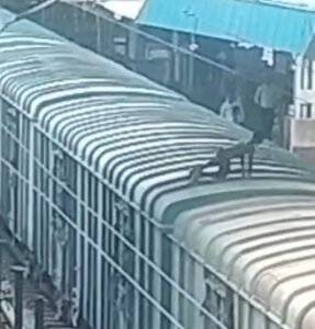 टाटानगर: मालगाड़ी पर चढ़ते ही हाई टेंशन तार की चपेट में आया युवक, बुरी तरह झुलसा