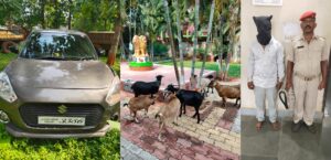 चाकुलिया पुलिस की बड़ी कार्रवाई: कार से बकरी चोरी कर ले जा रहे गिरोह का सदस्य गिरफ्तार, 6 बकरियां बरामद