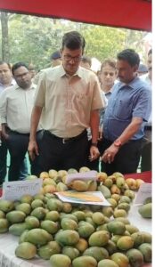 जमशेदपुर में आम महोत्सव: पटमदा का आम पहुंचा सऊदी अरब, ‘बिरसा हरित ग्राम योजना’ से बदली 6000 एकड़ की सूरत; छत्तीसगढ़ की टीम भी आई सीखने