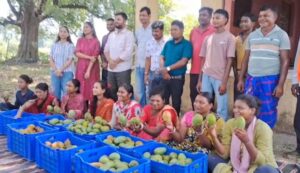 सरायकेला: बंजर जमीनों पर लहलाई समृद्धि, नाबार्ड और टाटा स्टील की ‘वादी परियोजना’ ने आदिवासी किसानों को बनाया लखपति