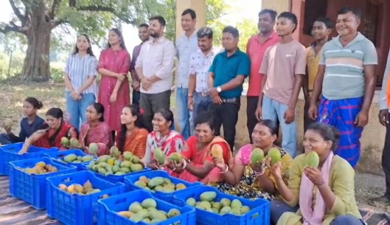 सरायकेला: बंजर जमीनों पर लहलाई समृद्धि, नाबार्ड और टाटा स्टील की ‘वादी परियोजना’ ने आदिवासी किसानों को बनाया लखपति