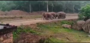 सरायकेला: बनडीह गांव में जंगली हाथी का तांडव, सोते हुए परिवार का घर तोड़ा; वन विभाग के पास नहीं है ‘राहत सामग्री’