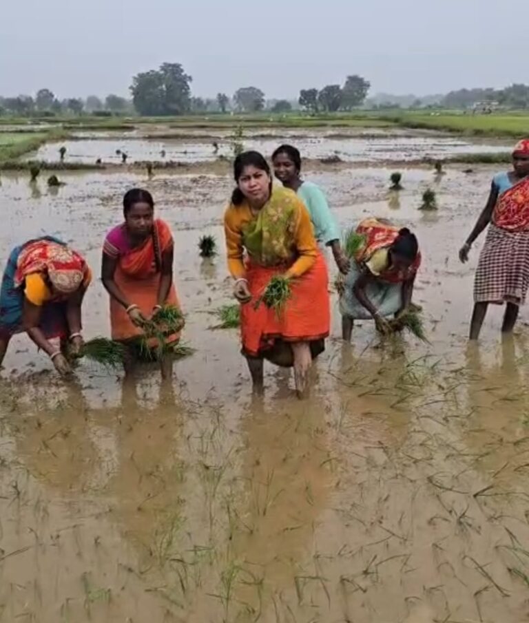 जमशेदपुर: एनएच-33 पर काफिला रुकवाकर खेत में उतरीं विधायक पूर्णिमा दास साहू; महिलाओं संग की धान रोपनी, ताजा हुईं बचपन की यादें