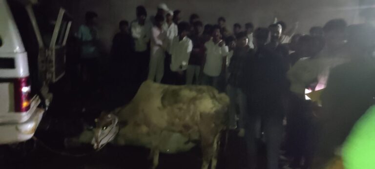 सरायकेला: कपाली पुलिस ने बोलेरो से तीन गाय बरामद कीं, चालक अंधेरे का फायदा उठाकर फरार