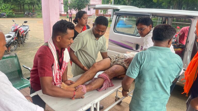 चाकुलिया में हाथी का जानलेवा हमला, 60 वर्षीय अनिल महतो की मौत; 7 वर्षीय नाती ने भागकर बचाई जान