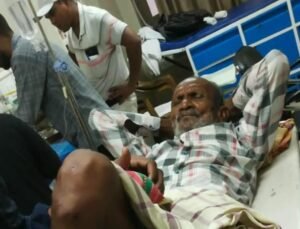 भालू के हमले में 80 वर्षीय ग्रामीण घायल, बलरामपुर में दहशत
