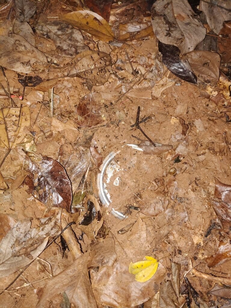 सारंडा के जंगल में दो शक्तिशाली आईईडी बरामद, बम निरोधक टीम ने किया निष्क्रिय
