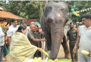 दलमा में गूंजी ‘हैप्पी बर्थडे रजनी’, हथिनी रजनी का 21वां और बादल का पहला जन्मदिन मनाया गया
